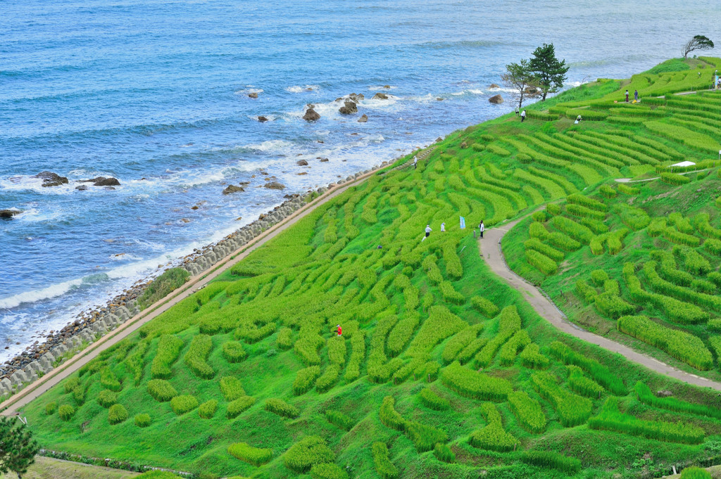 白米千枚田1