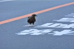 まだ誰か来るの？