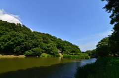 ジュンサイ池緑地