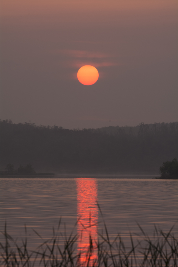 バージンロード