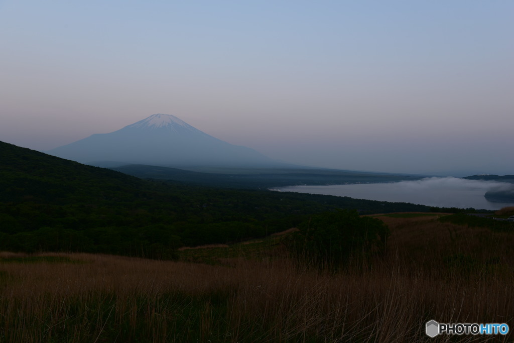 湖面に漂う