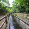 水路