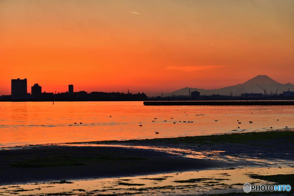 三番瀬夕焼け