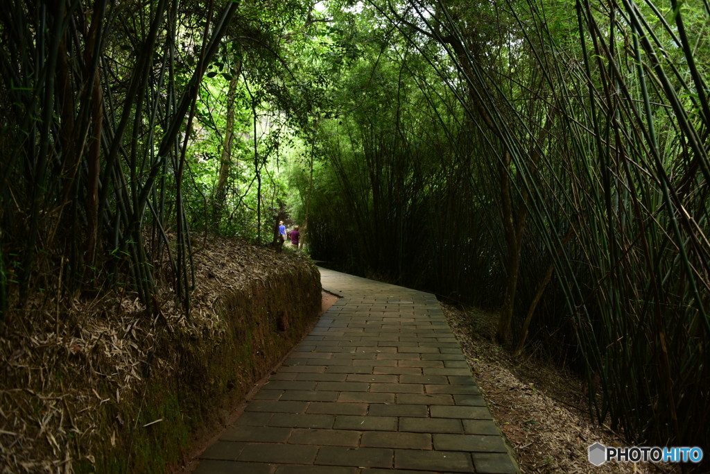 山道