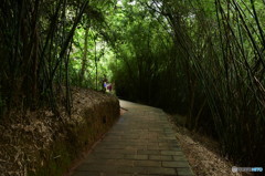 山道