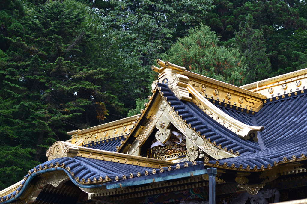屋根