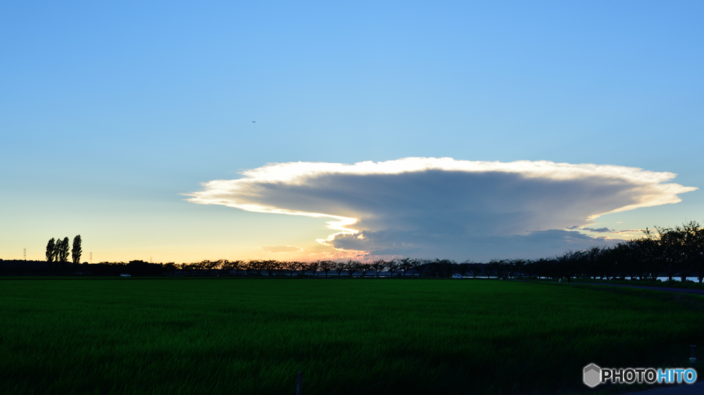 田んぼ怪雲