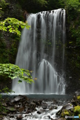 善五郎の滝