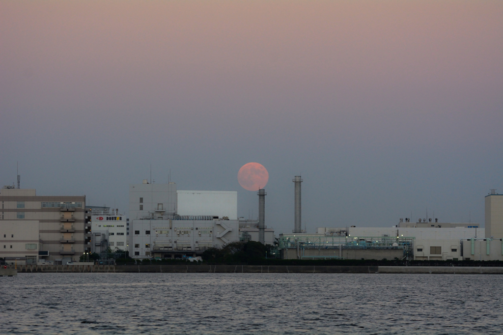 夕焼け月