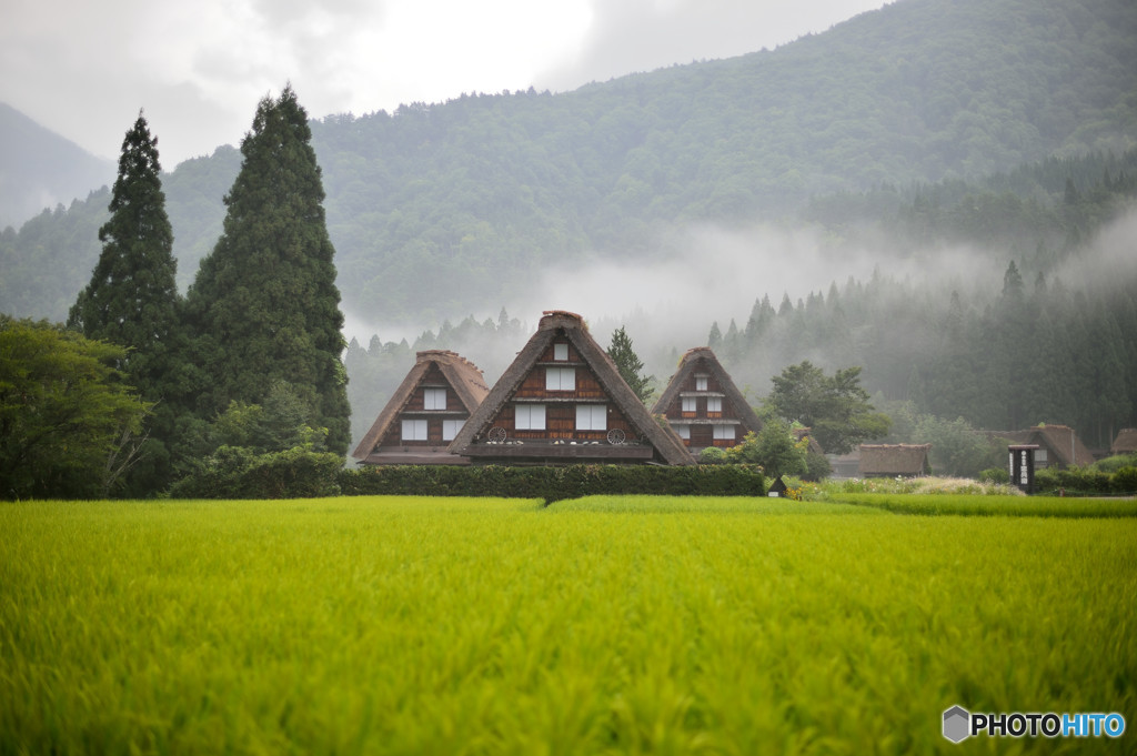雨中白川郷4