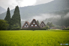 雨中白川郷4