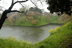 雨中武道館