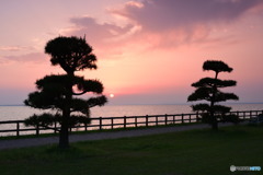 霞ヶ浦の夕日