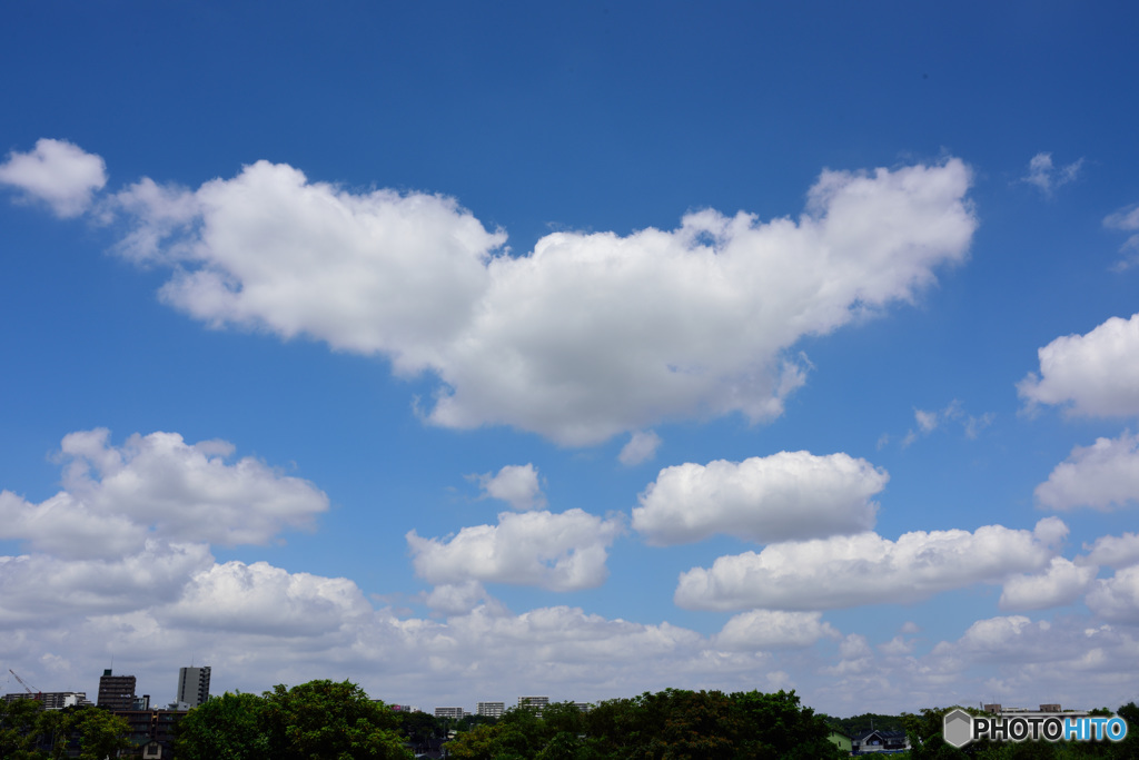 蟹が泳ぐ青空