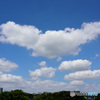 蟹が泳ぐ青空