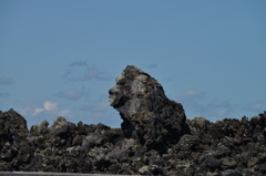 ゴリラ
