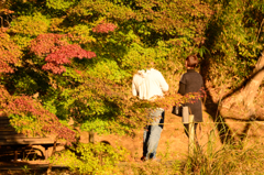 紅葉カップル