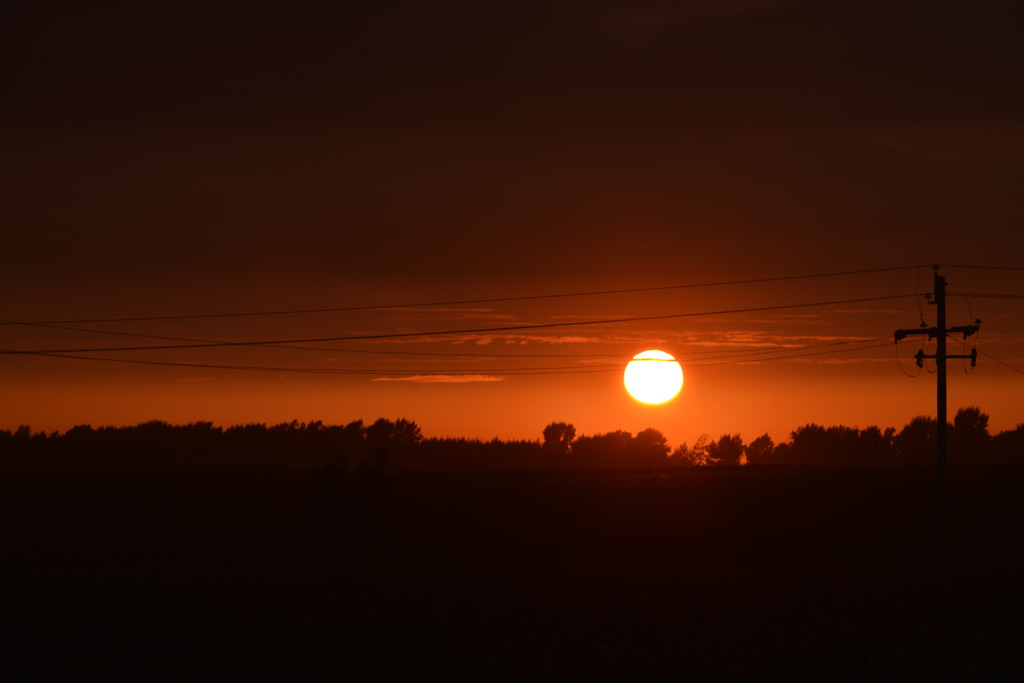 トウモロコシ畑と夕日２