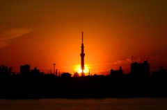 夕焼け