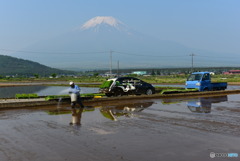 田植え