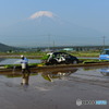 田植え