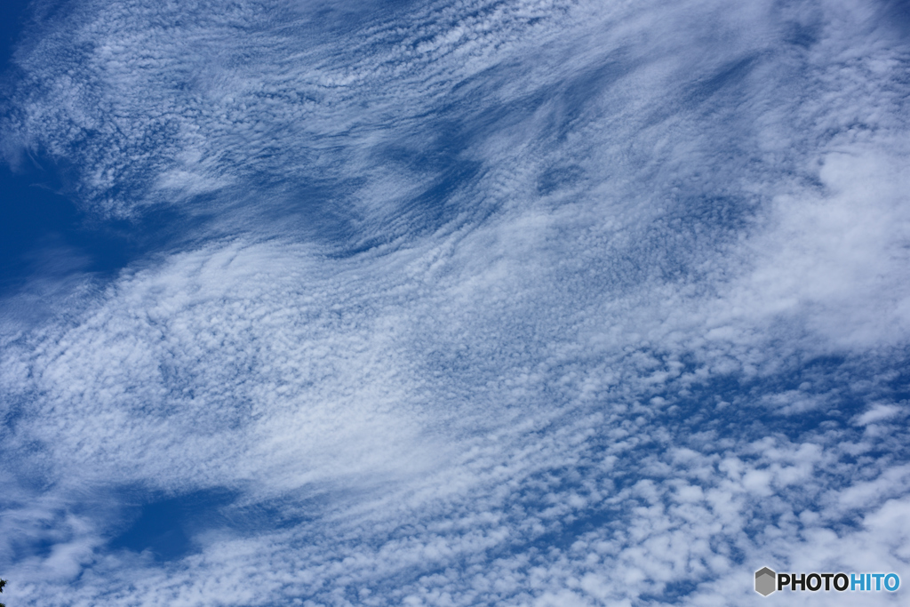 雲