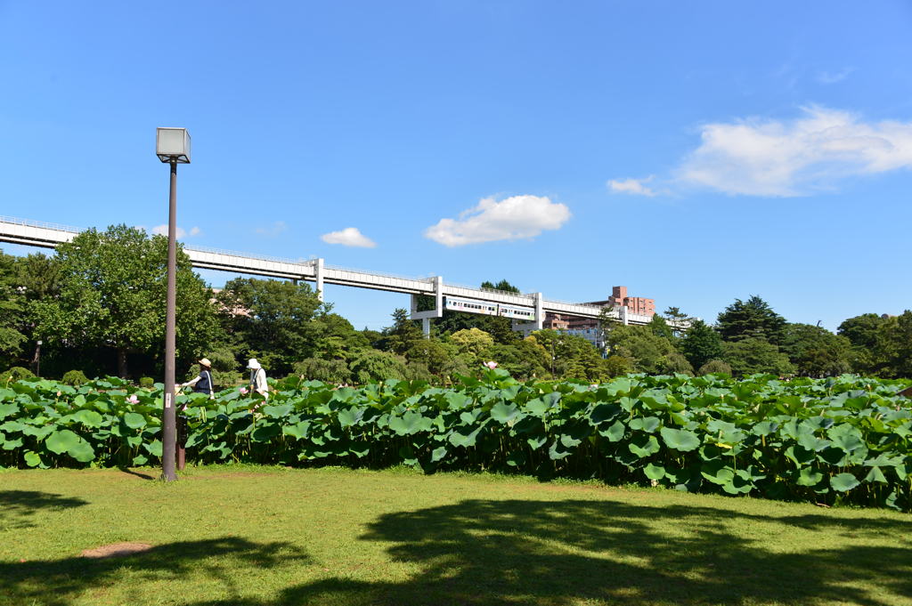 千葉公園モノレール３