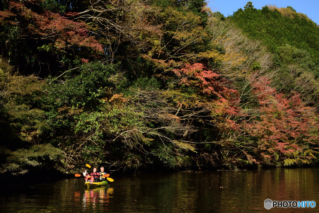 亀山湖紅葉