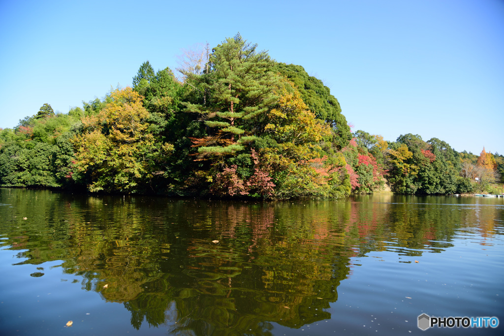 亀山湖の秋2