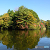 亀山湖の秋2