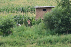 北朝鮮国境警備隊？