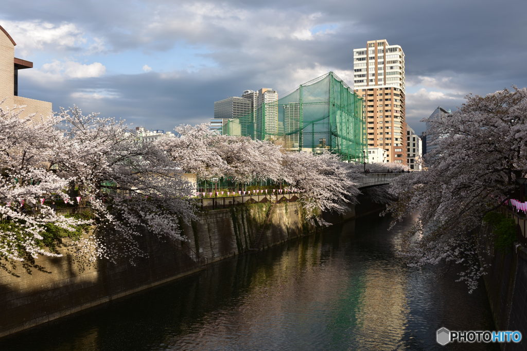 目黒川