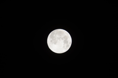 十五夜の月2