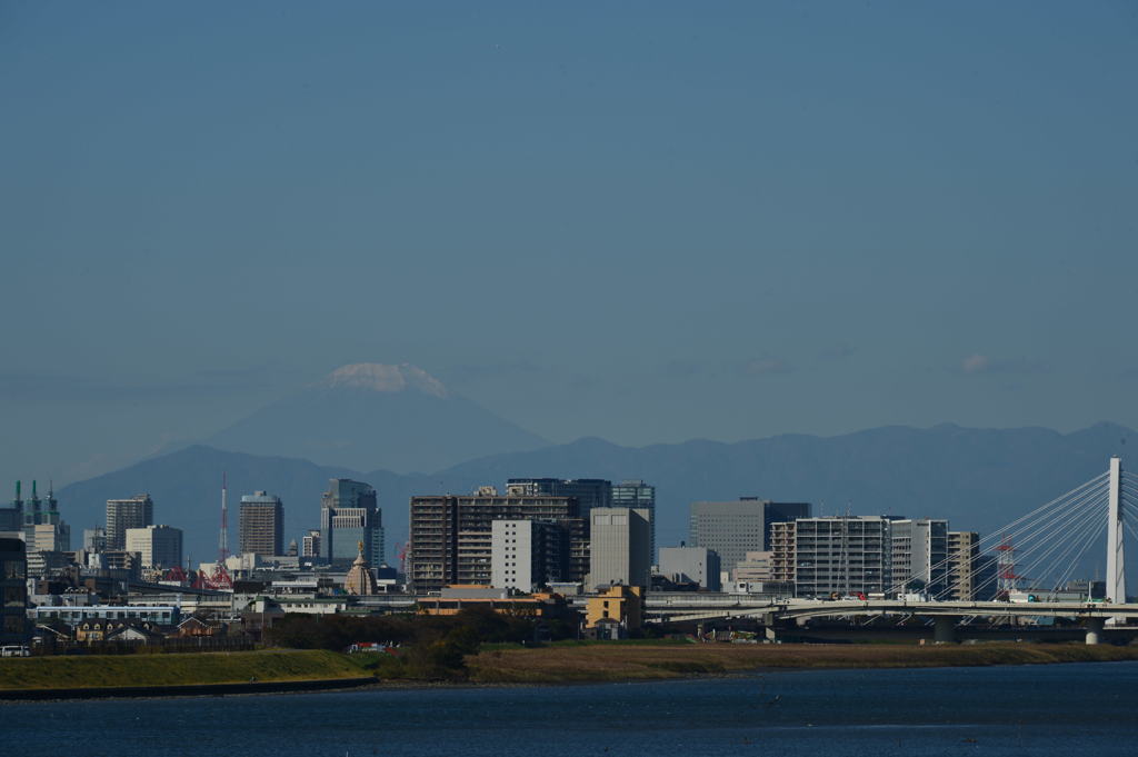 羽田空港からの冠雪富士