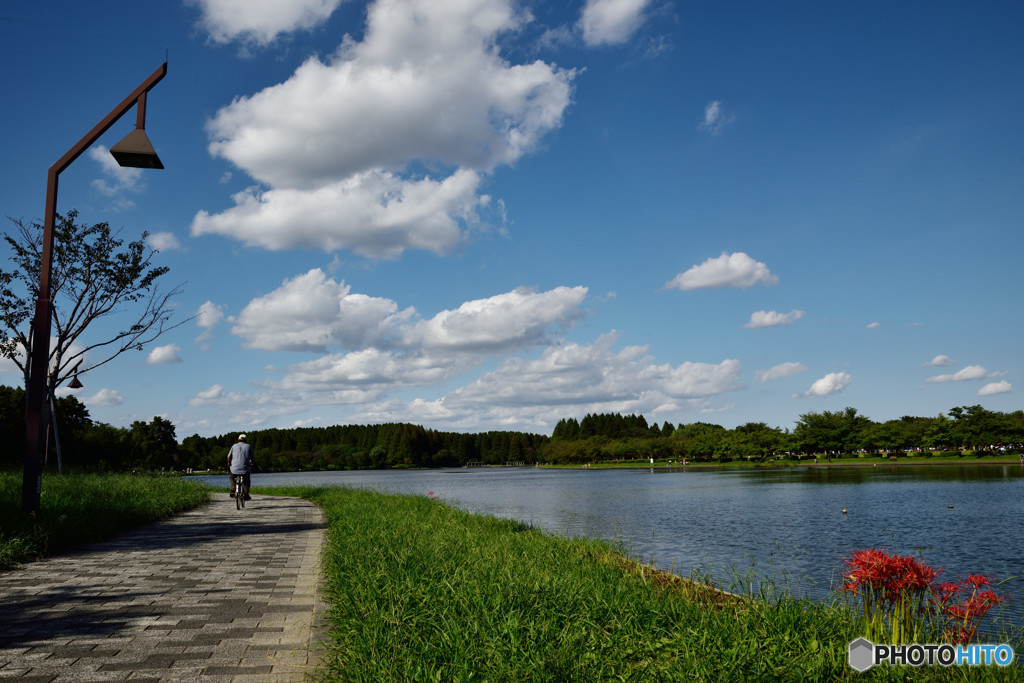 水元公園