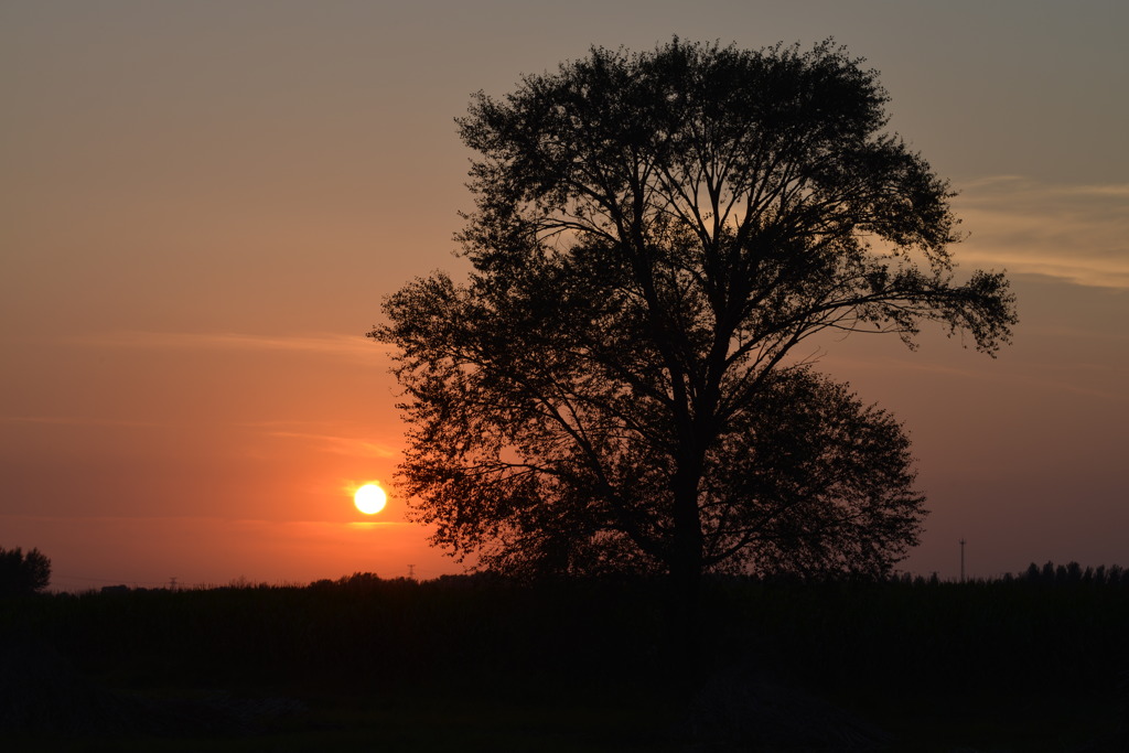 荒野の夕日