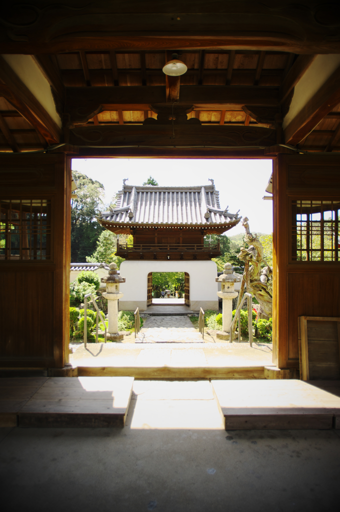 IMGP7091