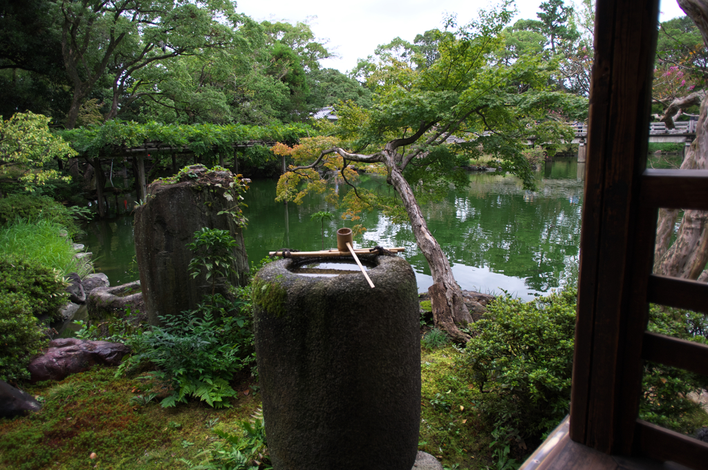 IMGP6829