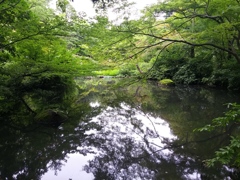 20150718_123822