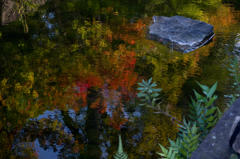 IMGP0528