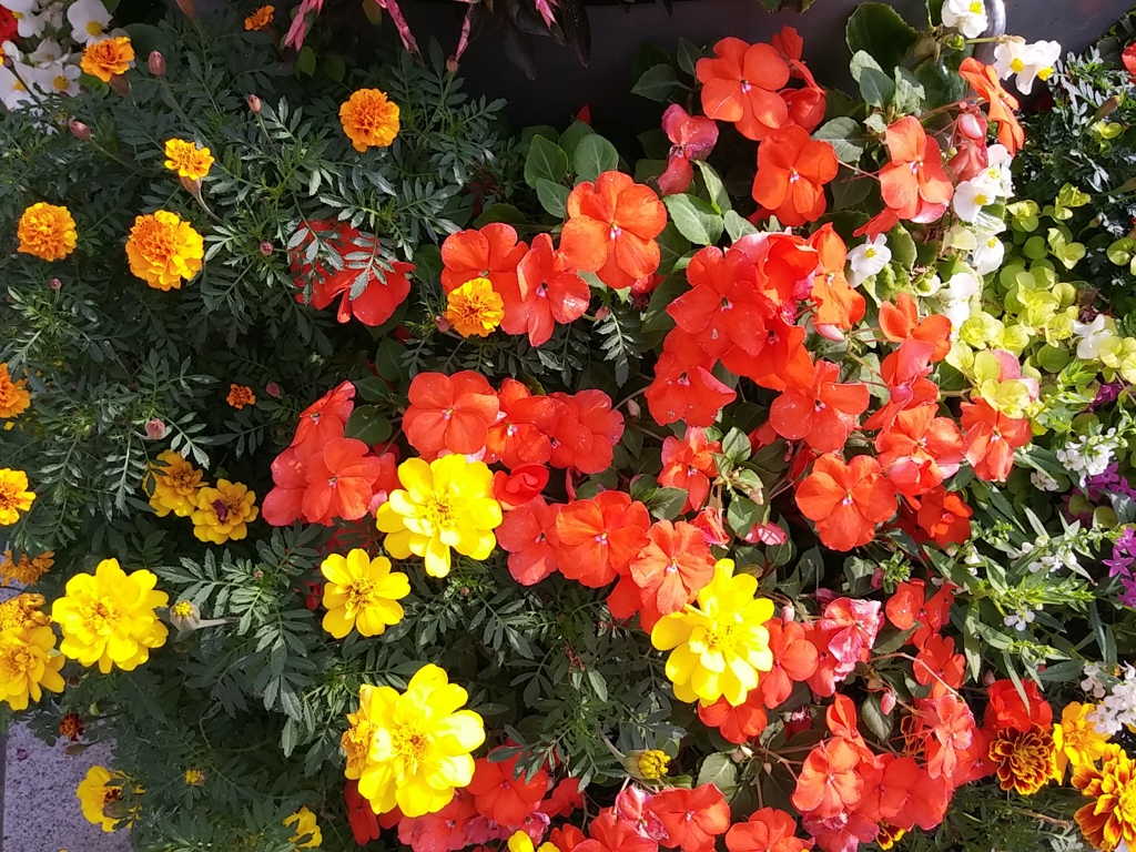 20151022_122256