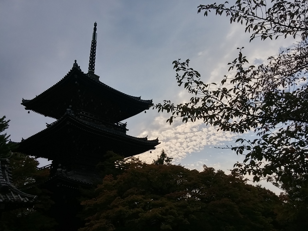 20151011_151617_HDR