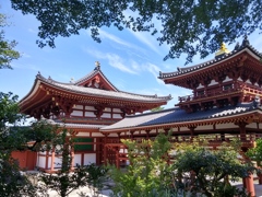 20150922_105437_HDR