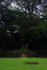 IMGP9660