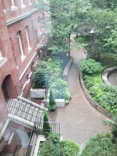 20150718_162402_HDR