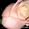 for you...