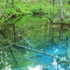 kaminoko pond ～静域～