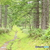 山への入り口