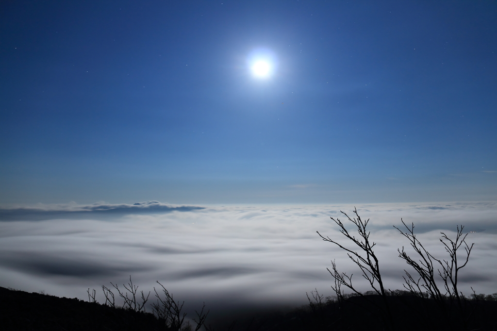 月下の雲海