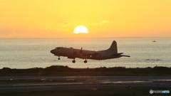 sunset flight 